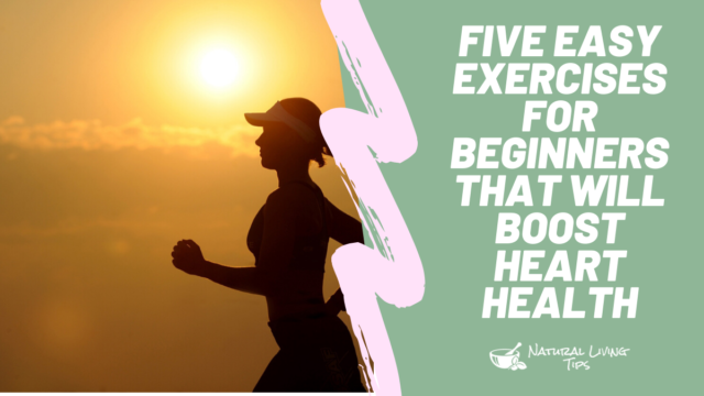Five Easy Exercises for Beginners that will Boost Heart Health
