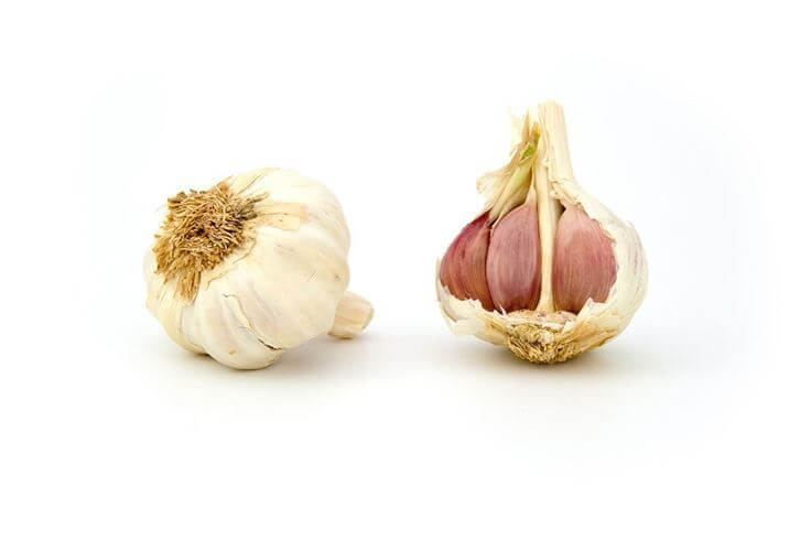 Garlic Healthyious 2