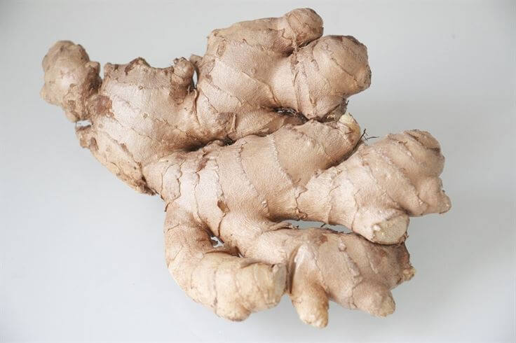 Ginger Healthyious 4