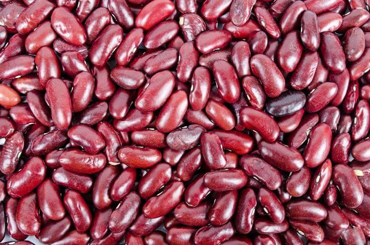 Red Kidney Beans Healthyious 2