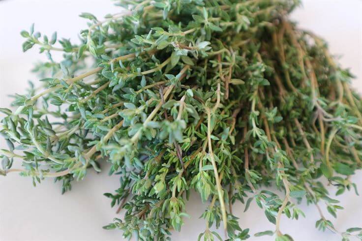 Thyme herb NaturalLivingTips 1