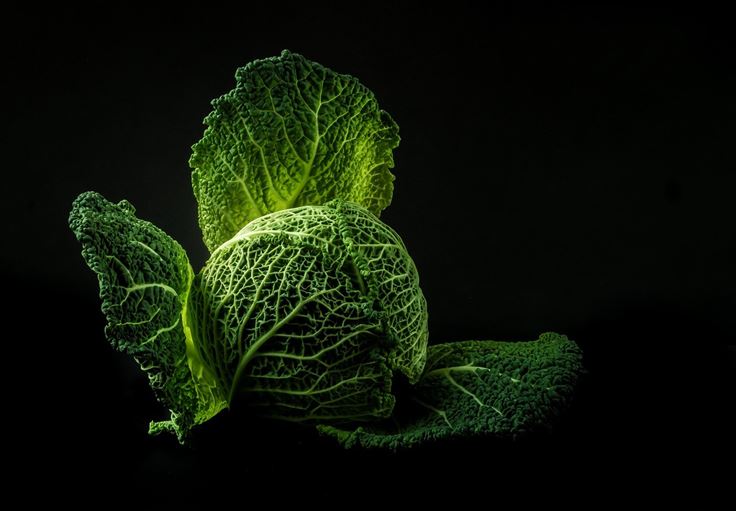 Cabbage NaturalLivingTips 2