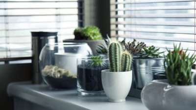 What are Natural Living Tips to Start Living Naturally? Definitive Guide