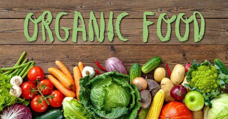 Organic food organic naturallivingtips 1