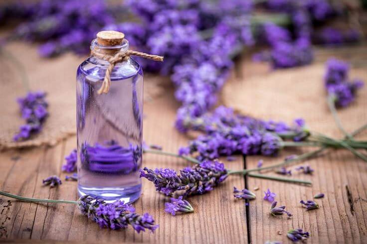 Lavender oil naturallivingtips 3