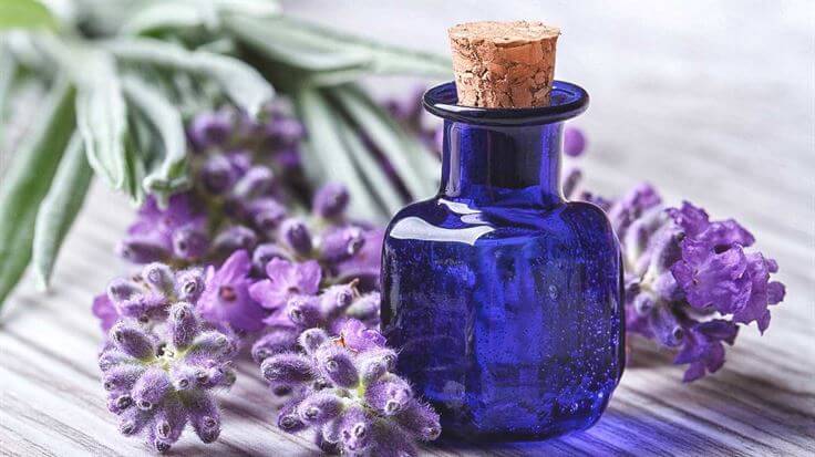 Lavender oil Healtyious
