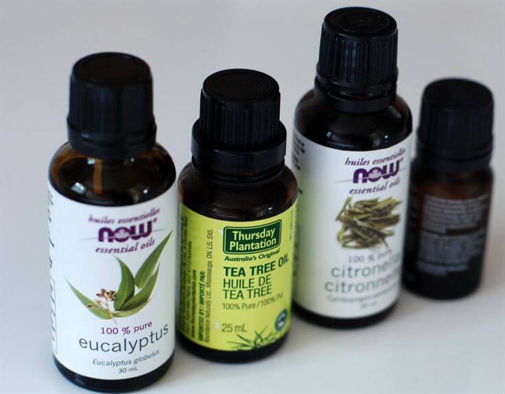 Tea tree oil Essential oils naturallivingtips 1