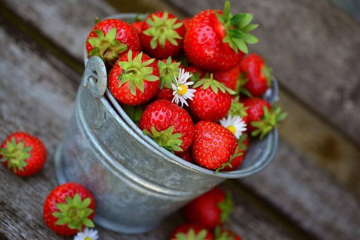 strawberries naturallivingtips 2