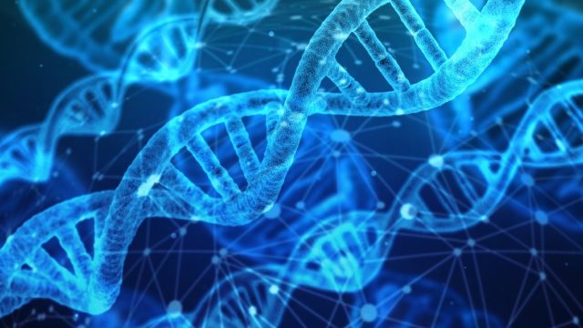 Understanding DNA, Gene, Chromosomes, Genomes: Ultimate Guide
