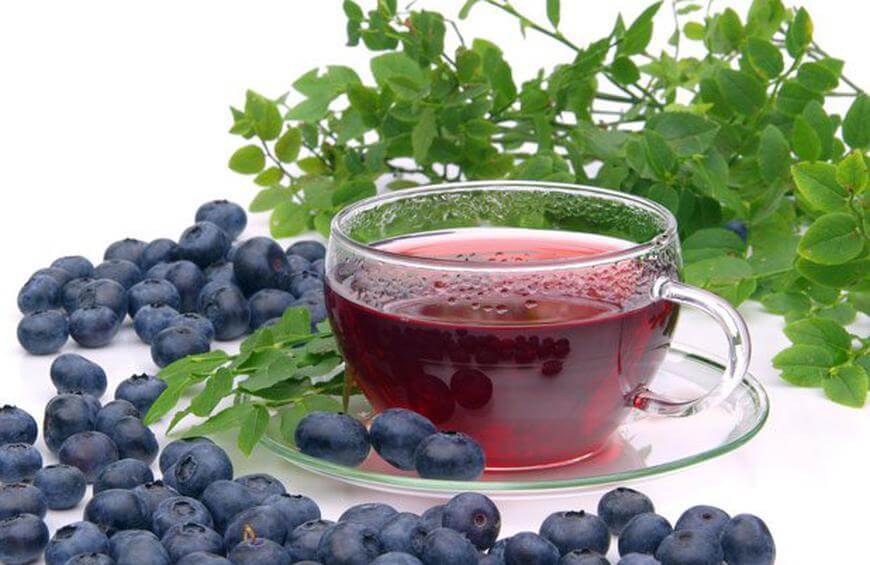 Bilberry Tea Healthyious