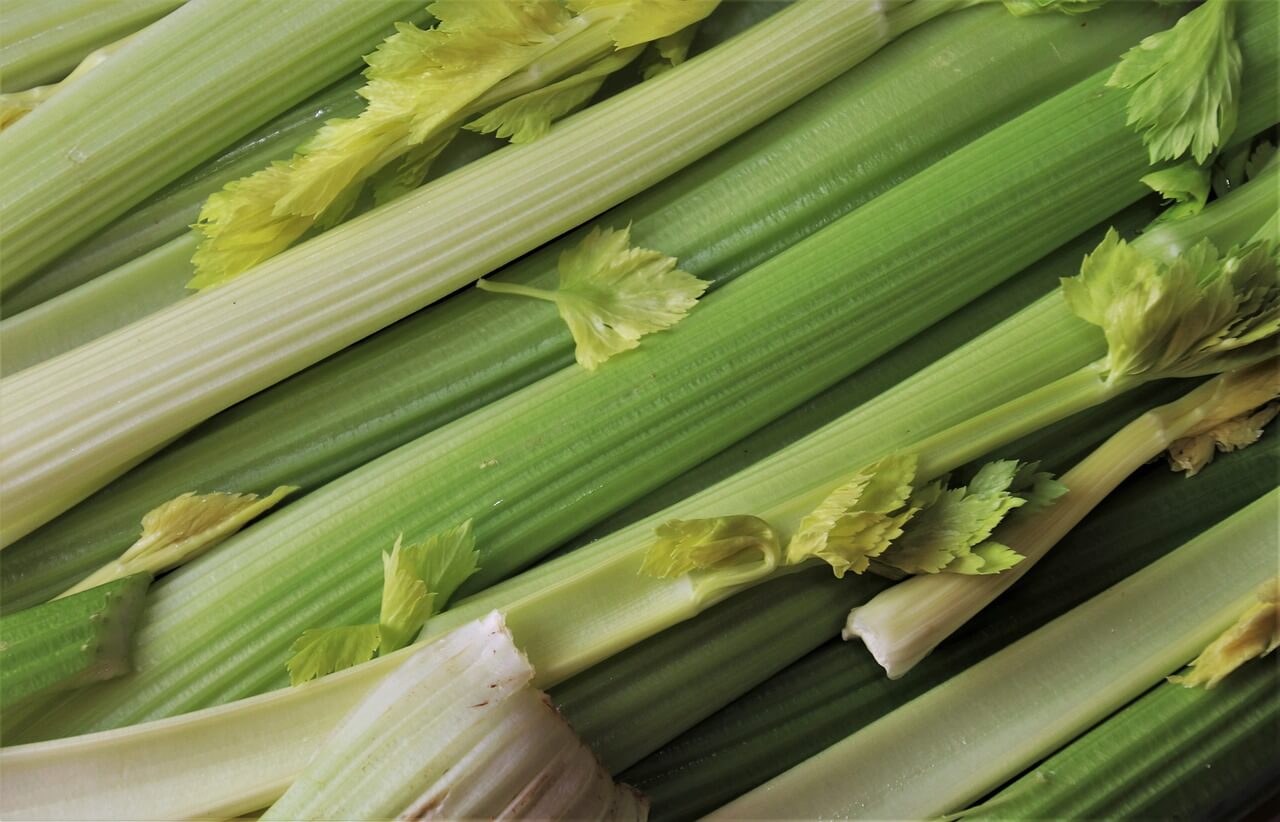Health Benefits Of Celery For Men You Should Know