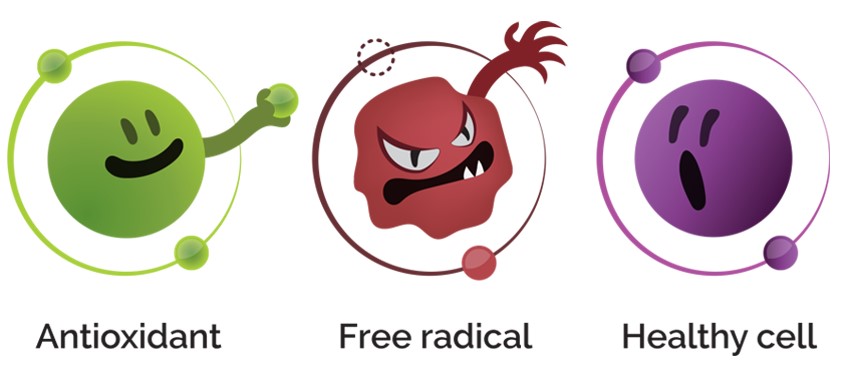 Antioxidant and Free radicals