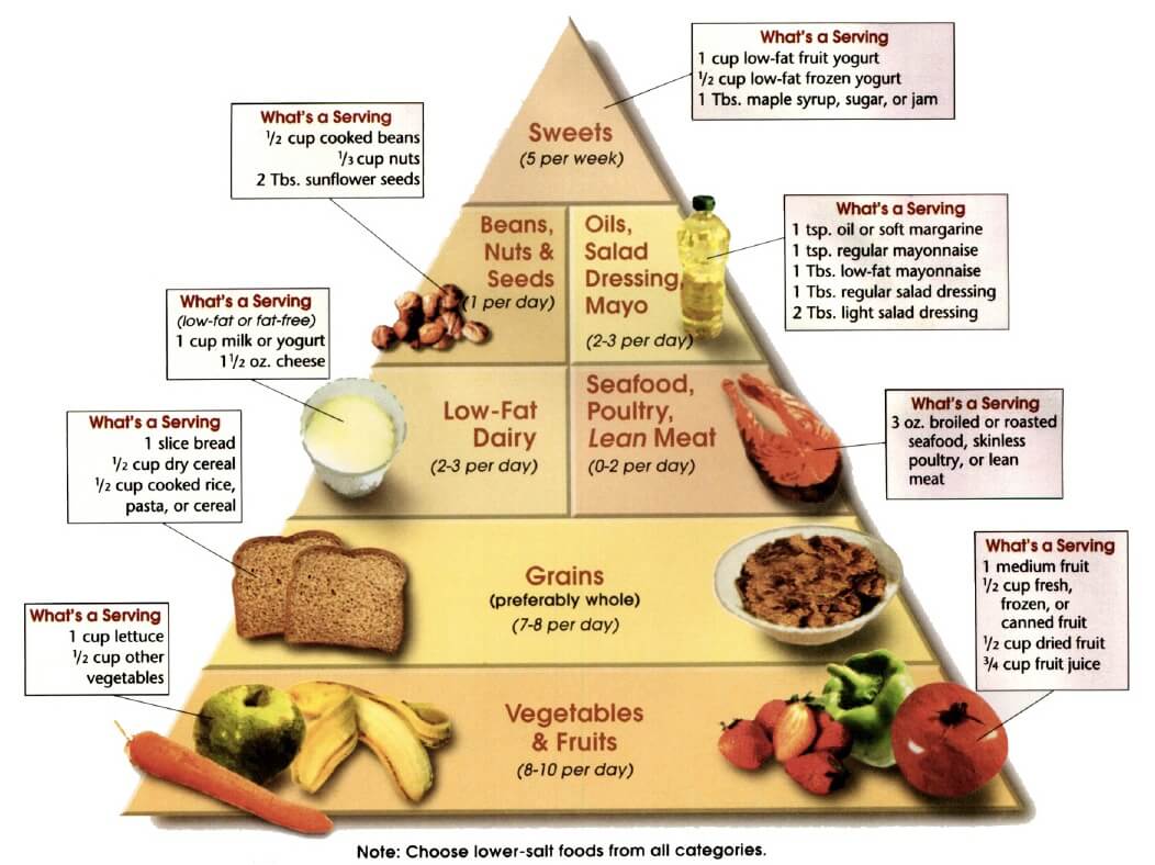 dash food pyramid