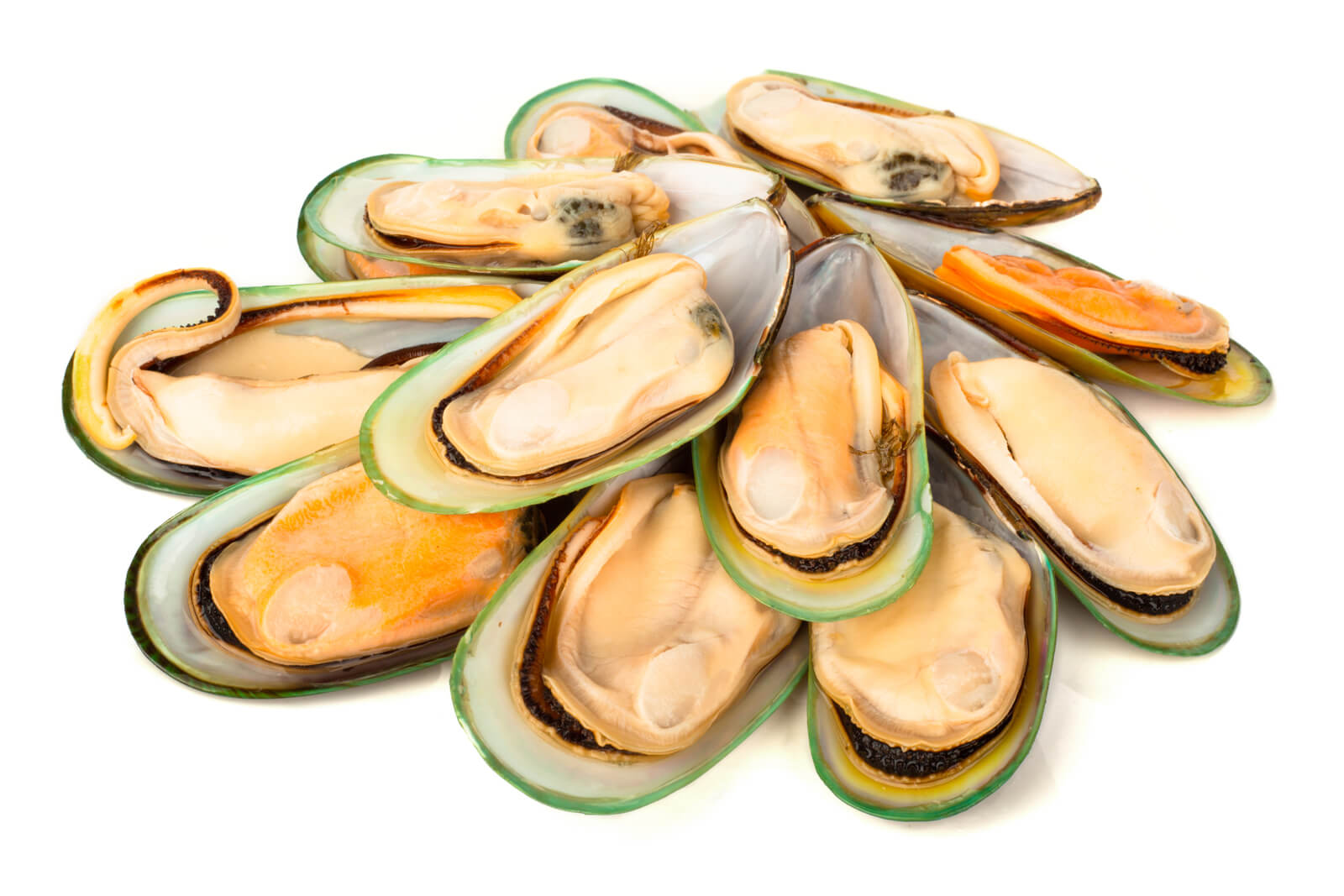 Green lipped mussels