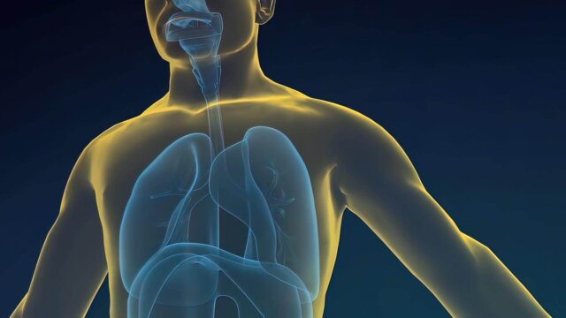 Early Symptoms of COPD: Stage 1 COPD Diagnosis and Treatment