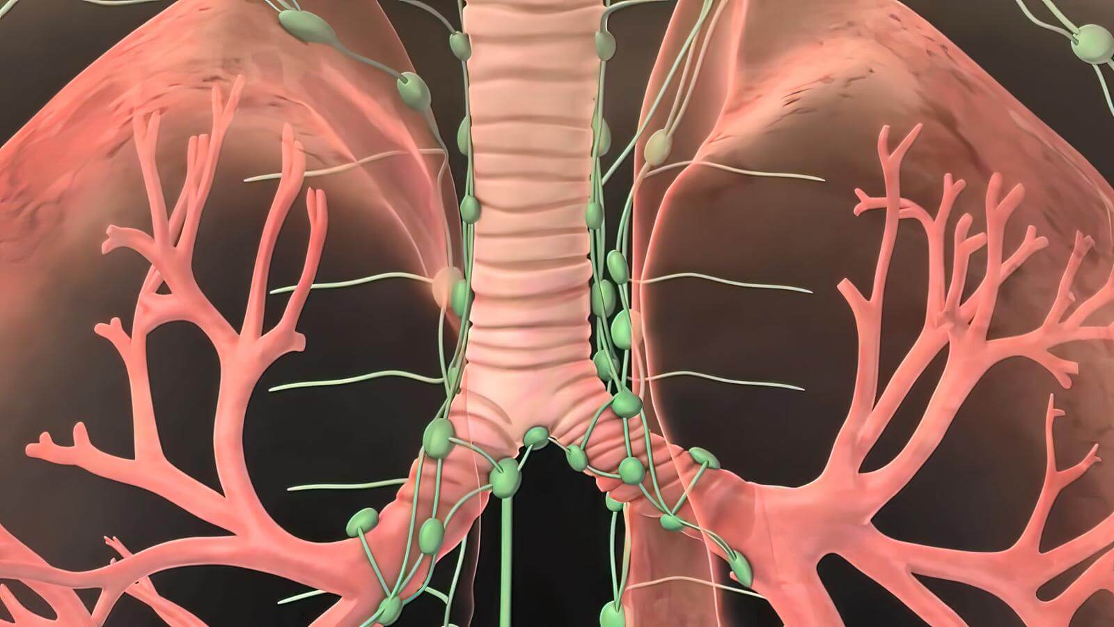 What is COPD or Chronic Obstructive Pulmonary Disease