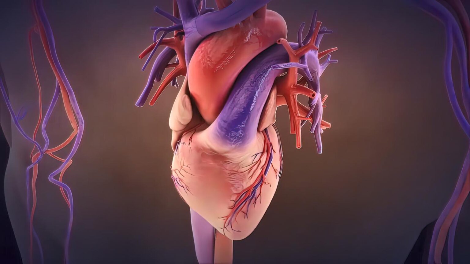 Inflammation And Heart Disease How It Is Linked Explained