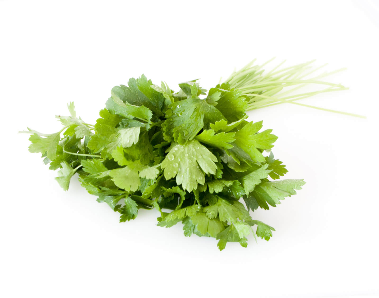 parsley 1