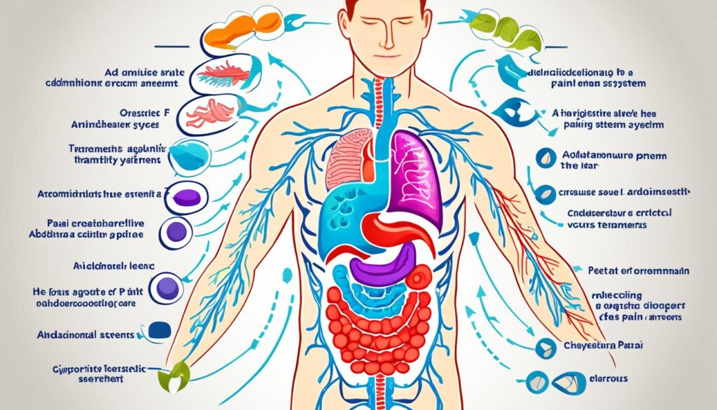 Digestive System