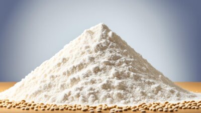 Are Refined Grains Good for You? Explained in Details