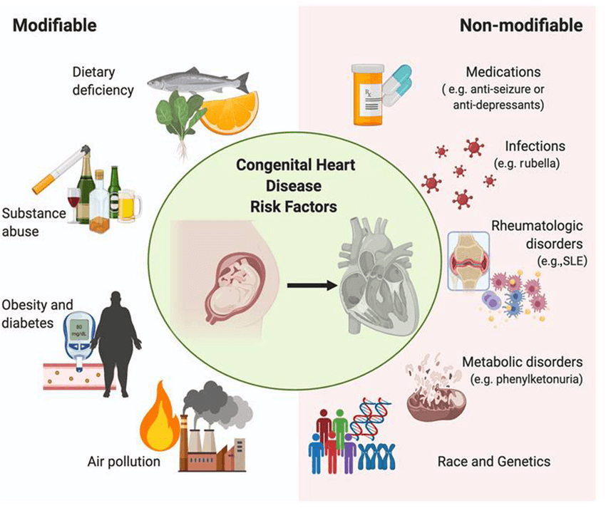 risk factors for congestive heart failure